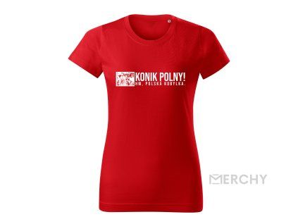 konik polny (1)