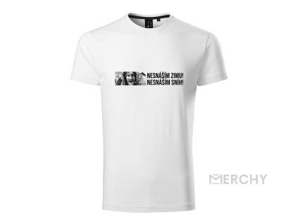 nesnasim zimu v2 (1)