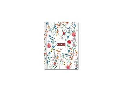 D02 26