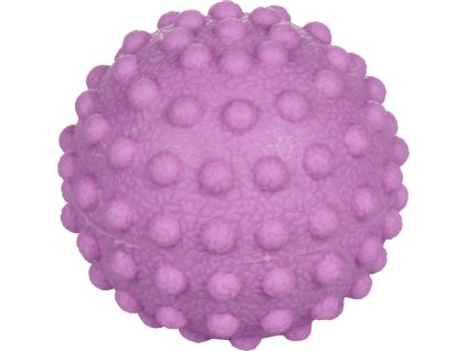 TPR 61 masážní míček fialová