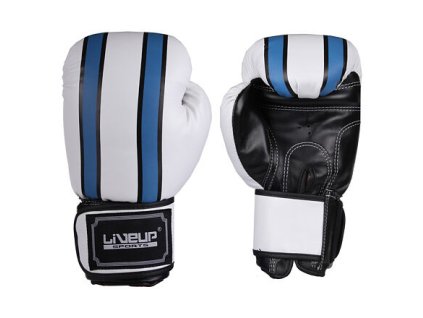 Boxing gloves zápasové boxovací rukavice bílá-modrá
