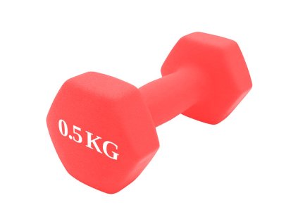 Činka litina NEOPREN 0,5 kg  4229