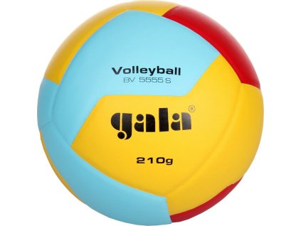 BV5555S Volleyball 210 g volejbalový míč
