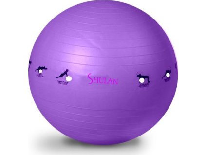 Gymnastický míč SHULAN YOGA BALL 65 cm fialová LX109-4FI