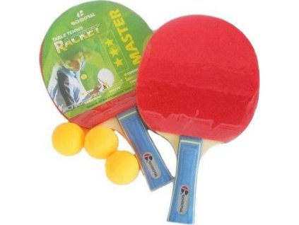 SADA 2 Pálek na stolní tenis RICHMORAL*** 4107
