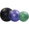 Gymnastický míč HEAVY 65cm Fialová 1306