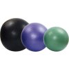 Gymnastický míč HEAVY 65cm Fialová 1306