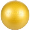 Gymnic overball