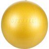Gymnic overball
