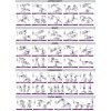 Bedýnka aerobic step SP1013 90x37x15-25 cm červená/černá SP1013