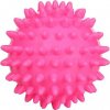 Massage Ball masážní míč růžová