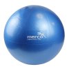 287863 4 fitgym overball modry 25cm
