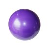Gymball – gymnastický míč 55cm fialový