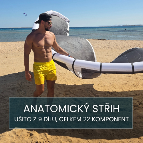 Anatomický střih