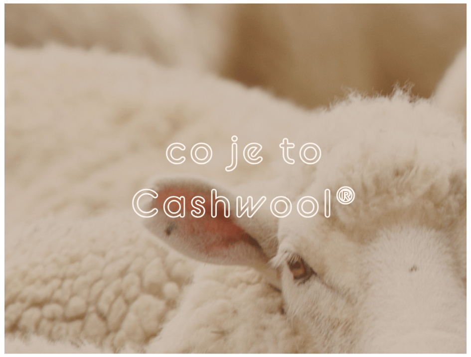 cashwool