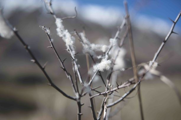 JAK MERINO ICEBREAKER FUNGUJE