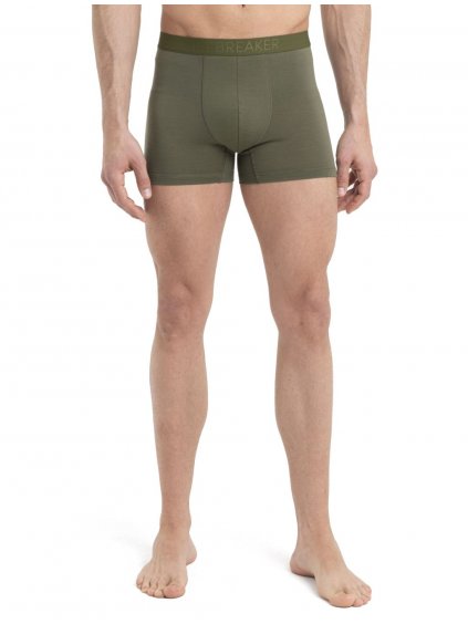 ICEBREAKER Mens Anatomica Cool-Lite Boxers, Loden_3