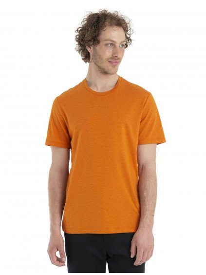 ICEBREAKER Mens Central Classic SS Tee, Earth_3