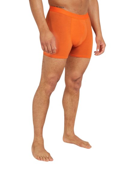 FW24 BM Men Merino 150 Anatomica Boxers 10302905N 01 01
