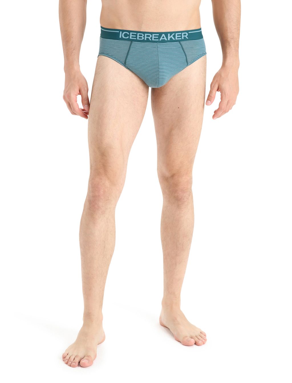 ICEBREAKER Mens Anatomica Briefs, Green Glory/Astral Blue velikost: L