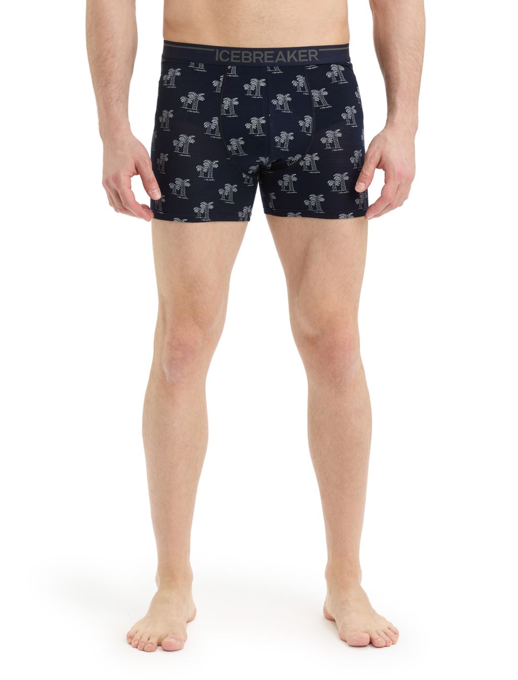 ICEBREAKER Mens Anatomica Boxers, Midnight Navy/Snow/Aop velikost: L