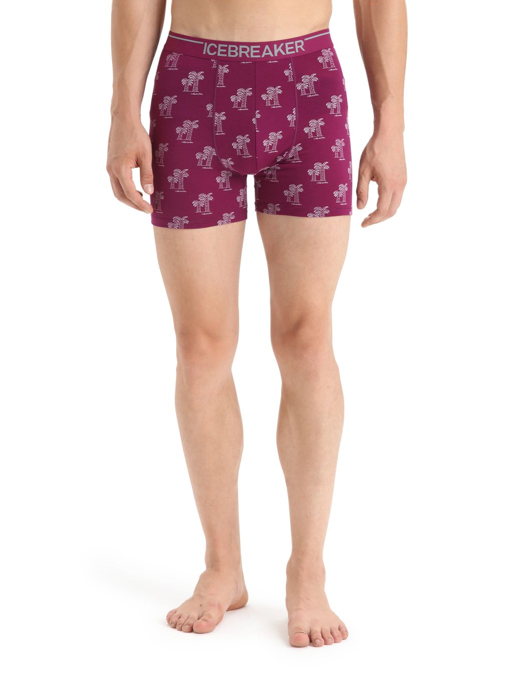 ICEBREAKER Mens Anatomica Boxers, Go Berry/Aop velikost: L