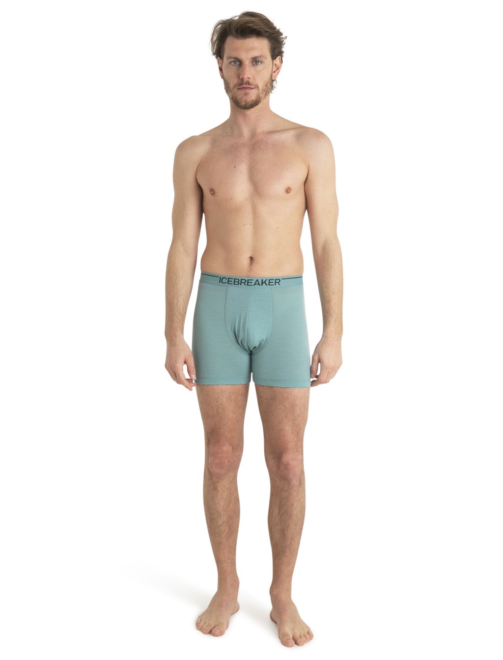 Pánské merino boxerky ICEBREAKER Mens Anatomica Boxers, Cloud Ray velikost: L