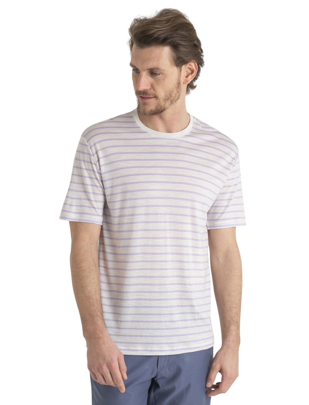 Pánské merino triko krátký rukáv ICEBREAKER Mens Merino Drayden SS Tee Stripe, Ecru Heather/Purple Gaze velikost: L