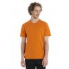 ICEBREAKER Mens Central Classic SS Tee, Earth_3