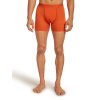 FW25 BM W Men Merino 150 Anatomica Boxers 1030290GT 01 01