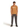 FW25 BM W Men Merino 150 Tech Lite SS Tee The Peaks 0A57BU0GR 03 01