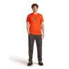 FW25 BM W Men Merino 150 Tech Lite SS Tee Bear Tour 0A57BS0GT 03 01