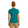 SS26 BM W Women Merino 150 Tech Lite SS Tee Hike Path IB0A56YJ0LG 2