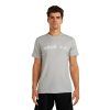 Pánské merino triko s krátkým rukávem ICEBREAKER Mens 150 Tech Lite SS Tee Massif, Proto Grey