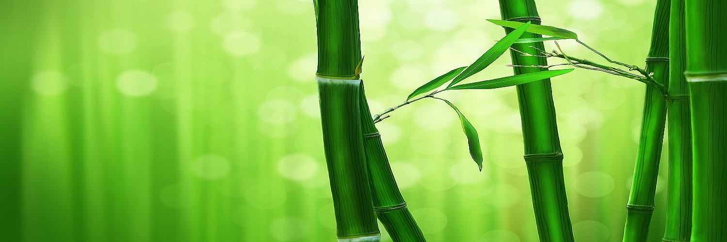 bamboo