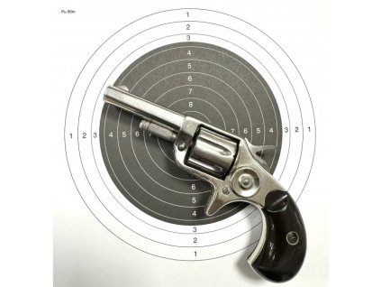 colt new line cal 22