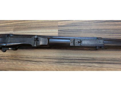 Springfield Trapdoor