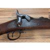 Springfield Trapdoor
