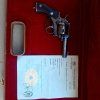 Revolver American Bulldog