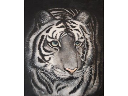 Screenshot 20230223 132906 Gallery