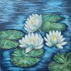 Lekníny/ Water Lilies