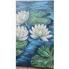 Lekníny/ Water Lilies