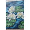 Lekníny/ Water Lilies
