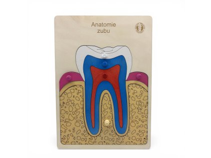 Photoroom 20260319 122933