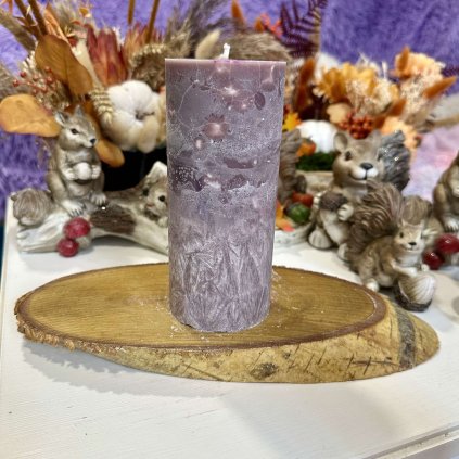 458397498 3900122033597120 2434391725432150464 n