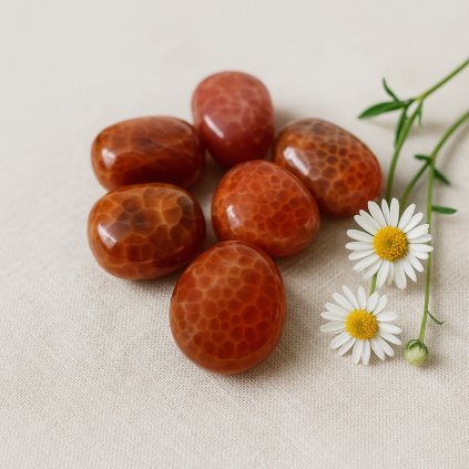 29B1A486 12FF 4ADA A85B F2E183A30AB0