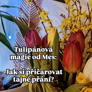 Tajemná magie tulipánů: Co jste možná nevěděly, a přitom je to tolik magické a silné! ✨🌷 Když si domů přinesete kytici...
