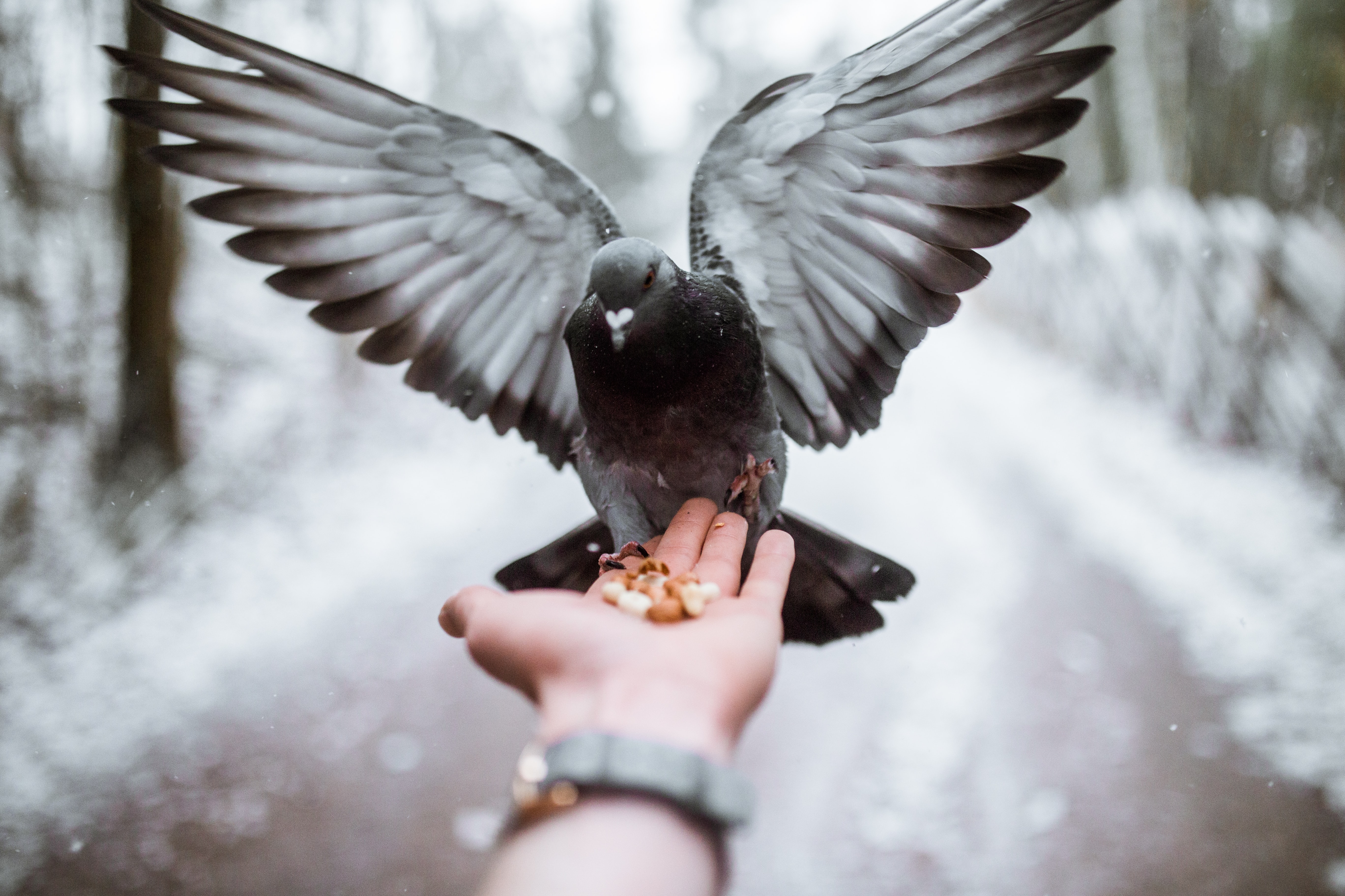 taneli-lahtinen-bXxnwBXVjVc-unsplash