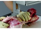 Patologie, histologie