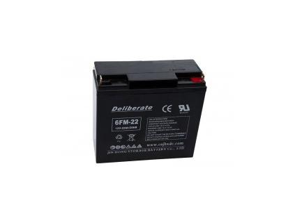 bat 6fm22 12v 22ah agm vrla battery